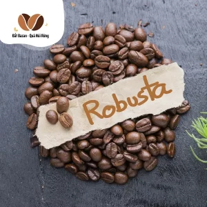 Cà Phê Robusta Việt Nam - Niềm Tự Hào Của Đất Bazan