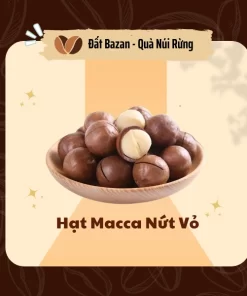 Hạt Macca Nứt Vỏ