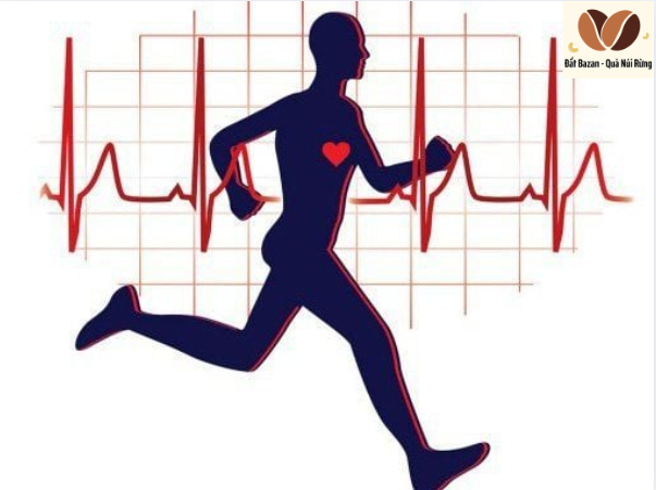 Tác dụng của hạt điều rang muối